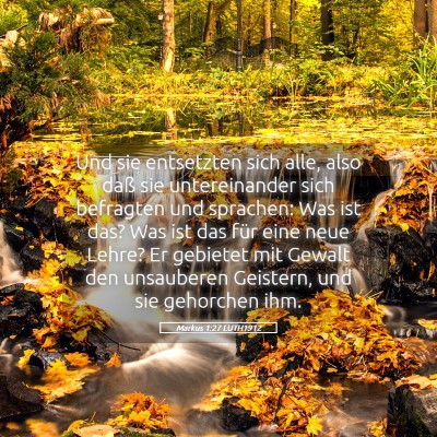Picture 05 - Markus 1:27 LUTH1912 - Und sie entsetzten sich alle, also daß sie - Bible Verse Picture