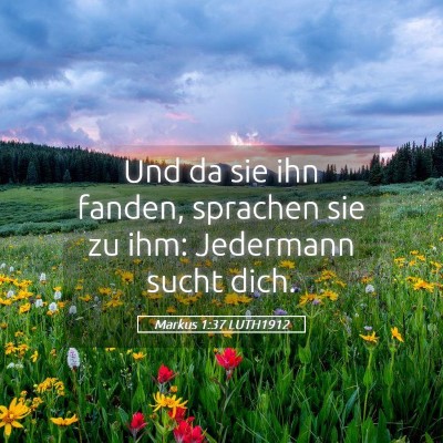Picture 05 - Markus 1:37 LUTH1912 - Und da sie ihn fanden, sprachen sie zu ihm: - Bible Verse Picture
