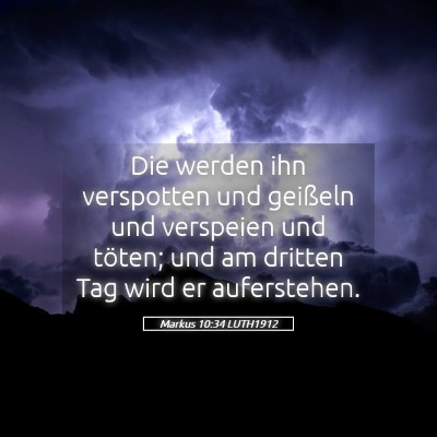 Picture 05 - Markus 10:34 LUTH1912 - Die werden ihn verspotten und geißeln und - Bible Verse Picture