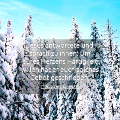 Picture 05 - Markus 10:5 LUTH1912 - Jesus antwortete und sprach zu ihnen: Um eures - Bible Verse Picture