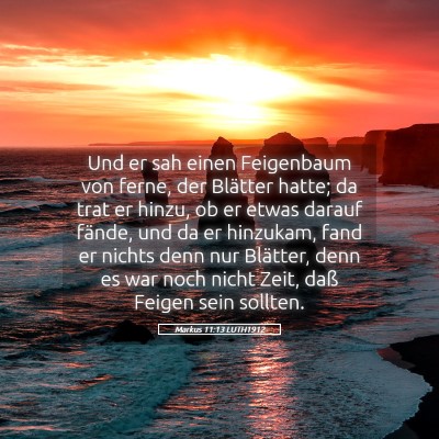 Picture 05 - Markus 11:13 LUTH1912 - Und er sah einen Feigenbaum von ferne, der - Bible Verse Picture