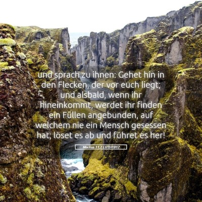 Picture 05 - Markus 11:2 LUTH1912 - und sprach zu ihnen: Gehet hin in den Flecken, - Bible Verse Picture