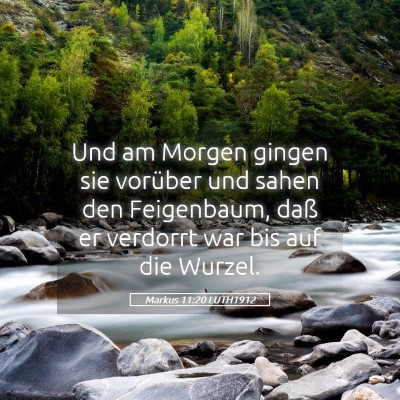 Picture 05 - Markus 11:20 LUTH1912 - Und am Morgen gingen sie vorüber und sahen den - Bible Verse Picture