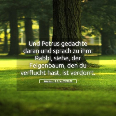 Picture 05 - Markus 11:21 LUTH1912 - Und Petrus gedachte daran und sprach zu ihm: - Bible Verse Picture