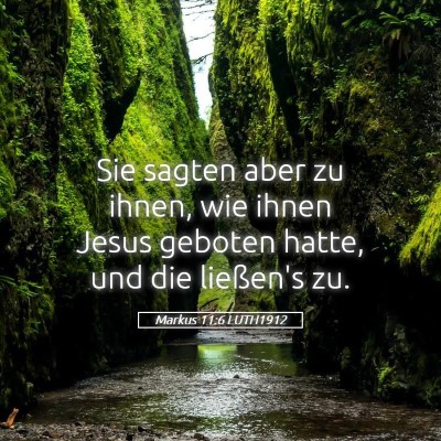 Picture 05 - Markus 11:6 LUTH1912 - Sie sagten aber zu ihnen, wie ihnen Jesus geboten - Bible Verse Picture