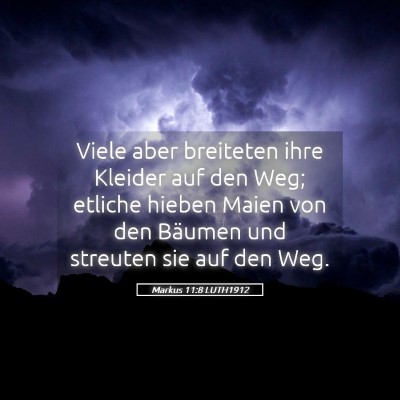 Picture 05 - Markus 11:8 LUTH1912 - Viele aber breiteten ihre Kleider auf den Weg; - Bible Verse Picture