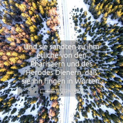 Picture 05 - Markus 12:13 LUTH1912 - Und sie sandten zu ihm etliche von den - Bible Verse Picture