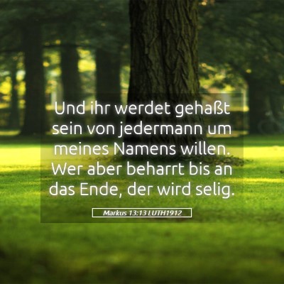 Picture 05 - Markus 13:13 LUTH1912 - Und ihr werdet gehaßt sein von jedermann um - Bible Verse Picture