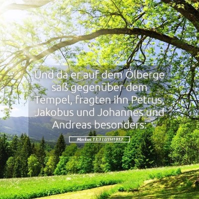 Picture 05 - Markus 13:3 LUTH1912 - Und da er auf dem Ölberge saß gegenüber dem - Bible Verse Picture