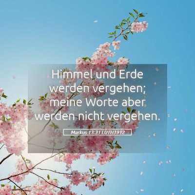 Picture 05 - Markus 13:31 LUTH1912 - Himmel und Erde werden vergehen; meine Worte aber - Bible Verse Picture
