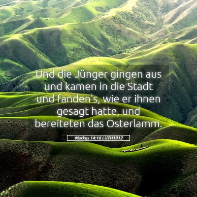 Picture 05 - Markus 14:16 LUTH1912 - Und die Jünger gingen aus und kamen in die Stadt - Bible Verse Picture