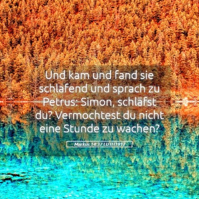 Picture 05 - Markus 14:37 LUTH1912 - Und kam und fand sie schlafend und sprach zu - Bible Verse Picture