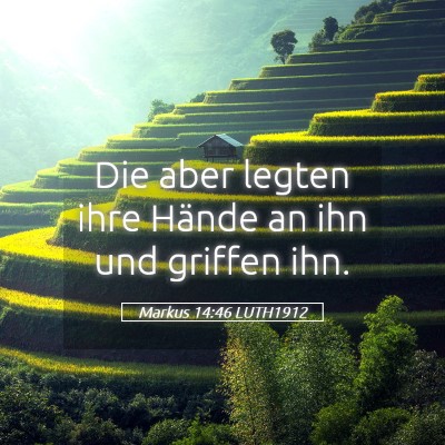 Picture 05 - Markus 14:46 LUTH1912 - Die aber legten ihre Hände an ihn und griffen - Bible Verse Picture