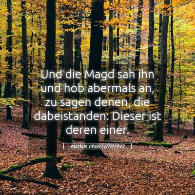 Picture 05 - Markus 14:69 LUTH1912 - Und die Magd sah ihn und hob abermals an, zu - Bible Verse Picture