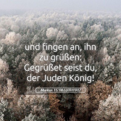 Picture 05 - Markus 15:18 LUTH1912 - und fingen an, ihn zu grüßen: Gegrüßet seist - Bible Verse Picture