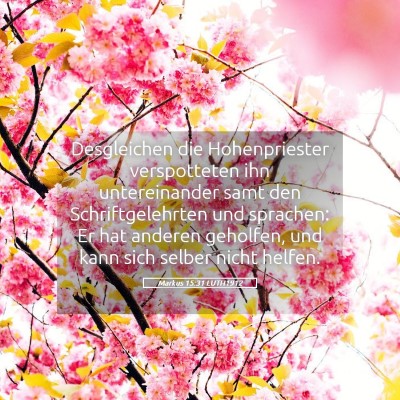 Picture 05 - Markus 15:31 LUTH1912 - Desgleichen die Hohenpriester verspotteten ihn - Bible Verse Picture