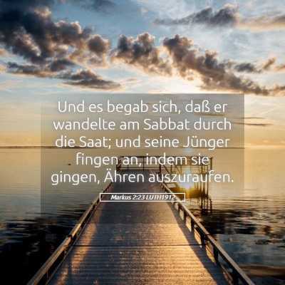 Picture 05 - Markus 2:23 LUTH1912 - Und es begab sich, daß er wandelte am Sabbat - Bible Verse Picture