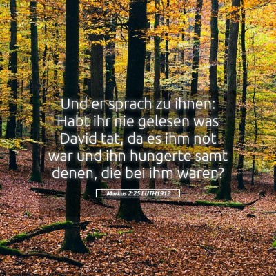Picture 05 - Markus 2:25 LUTH1912 - Und er sprach zu ihnen: Habt ihr nie gelesen was - Bible Verse Picture