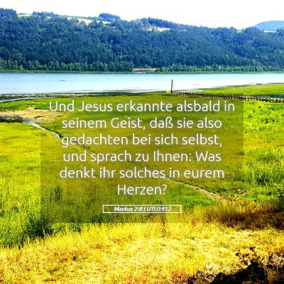 Picture 05 - Markus 2:8 LUTH1912 - Und Jesus erkannte alsbald in seinem Geist, daß - Bible Verse Picture