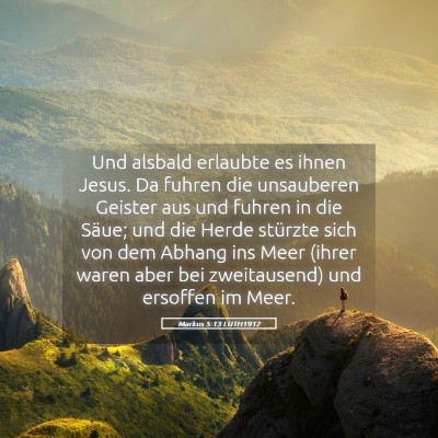 Picture 05 - Markus 5:13 LUTH1912 - Und alsbald erlaubte es ihnen Jesus. Da fuhren - Bible Verse Picture