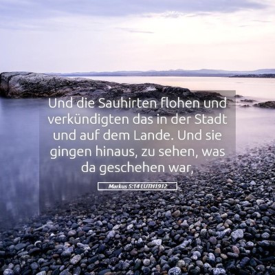 Picture 05 - Markus 5:14 LUTH1912 - Und die Sauhirten flohen und verkündigten das in - Bible Verse Picture
