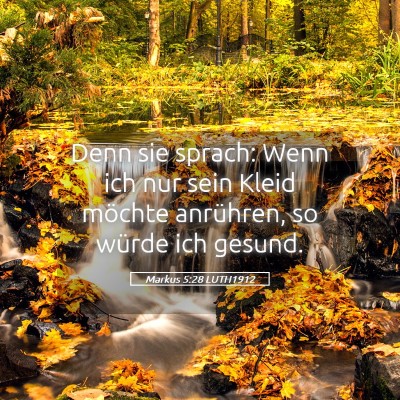 Picture 05 - Markus 5:28 LUTH1912 - Denn sie sprach: Wenn ich nur sein Kleid möchte - Bible Verse Picture