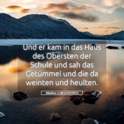 Picture 05 - Markus 5:38 LUTH1912 - Und er kam in das Haus des Obersten der Schule - Bible Verse Picture