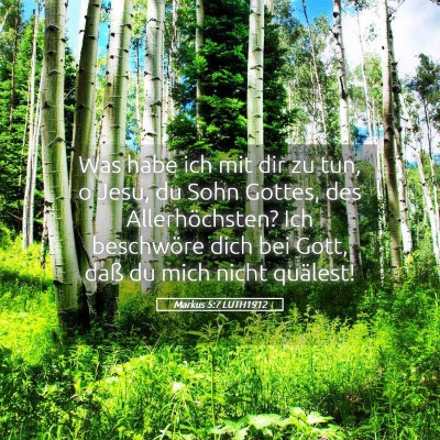 Picture 05 - Markus 5:7 LUTH1912 - Was habe ich mit dir zu tun, o Jesu, du Sohn - Bible Verse Picture