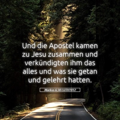Picture 05 - Markus 6:30 LUTH1912 - Und die Apostel kamen zu Jesu zusammen und - Bible Verse Picture