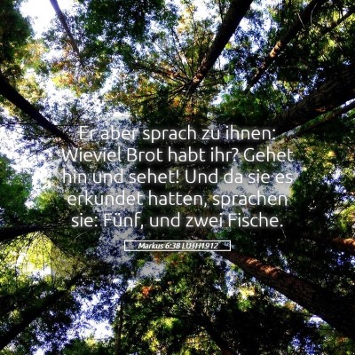 Picture 05 - Markus 6:38 LUTH1912 - Er aber sprach zu ihnen: Wieviel Brot habt ihr? - Bible Verse Picture