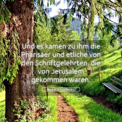 Picture 05 - Markus 7:1 LUTH1912 - Und es kamen zu ihm die Pharisäer und etliche - Bible Verse Picture