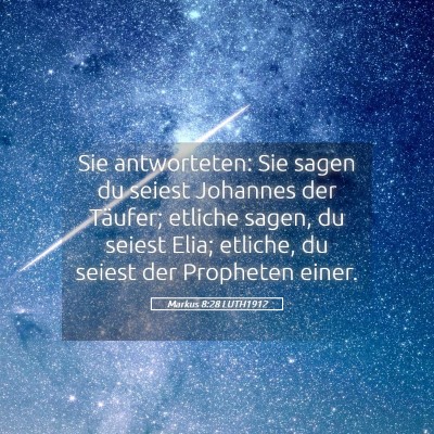 Picture 05 - Markus 8:28 LUTH1912 - Sie antworteten: Sie sagen du seiest Johannes der - Bible Verse Picture