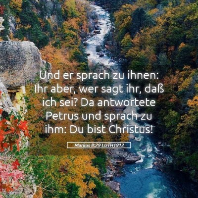 Picture 05 - Markus 8:29 LUTH1912 - Und er sprach zu ihnen: Ihr aber, wer sagt ihr, - Bible Verse Picture