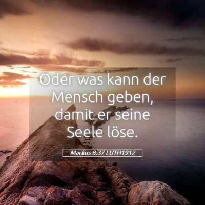 Picture 05 - Markus 8:37 LUTH1912 - Oder was kann der Mensch geben, damit er seine - Bible Verse Picture