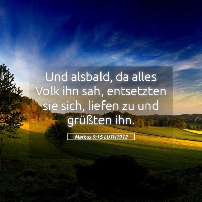 Picture 05 - Markus 9:15 LUTH1912 - Und alsbald, da alles Volk ihn sah, entsetzten - Bible Verse Picture