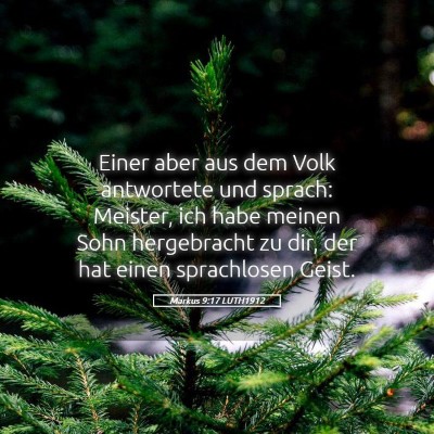 Picture 05 - Markus 9:17 LUTH1912 - Einer aber aus dem Volk antwortete und sprach: - Bible Verse Picture