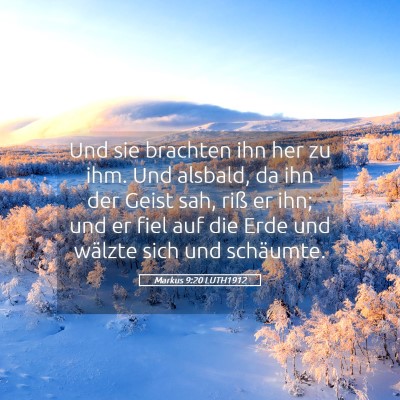 Picture 05 - Markus 9:20 LUTH1912 - Und sie brachten ihn her zu ihm. Und alsbald, da - Bible Verse Picture