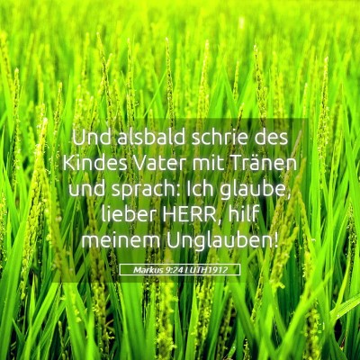 Picture 05 - Markus 9:24 LUTH1912 - Und alsbald schrie des Kindes Vater mit Tränen - Bible Verse Picture