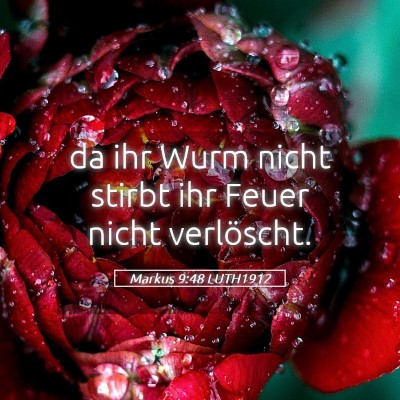Picture 05 - Markus 9:48 LUTH1912 - da ihr Wurm nicht stirbt ihr Feuer nicht - Bible Verse Picture