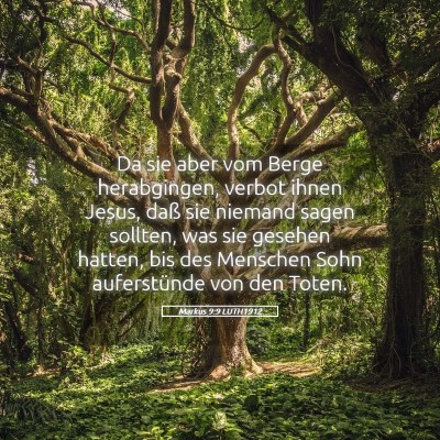 Picture 05 - Markus 9:9 LUTH1912 - Da sie aber vom Berge herabgingen, verbot ihnen - Bible Verse Picture