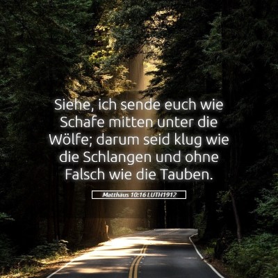 Picture 05 - Matthäus 10:16 LUTH1912 - Siehe, ich sende euch wie Schafe mitten unter die - Bible Verse Picture