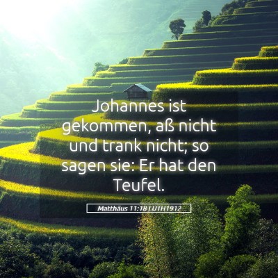 Picture 05 - Matthäus 11:18 LUTH1912 - Johannes ist gekommen, aß nicht und trank nicht; - Bible Verse Picture