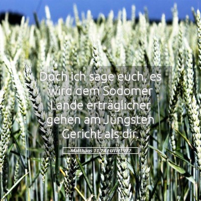 Picture 05 - Matthäus 11:24 LUTH1912 - Doch ich sage euch, es wird dem Sodomer Lande - Bible Verse Picture