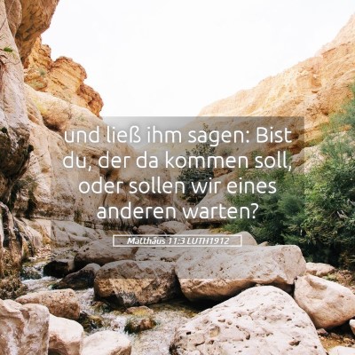 Picture 05 - Matthäus 11:3 LUTH1912 - und ließ ihm sagen: Bist du, der da kommen soll, - Bible Verse Picture