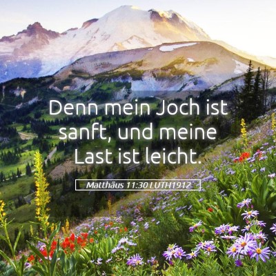 Picture 05 - Matthäus 11:30 LUTH1912 - Denn mein Joch ist sanft, und meine Last ist - Bible Verse Picture