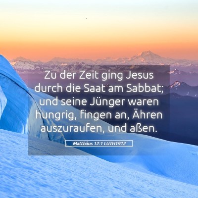 Picture 05 - Matthäus 12:1 LUTH1912 - Zu der Zeit ging Jesus durch die Saat am Sabbat; - Bible Verse Picture