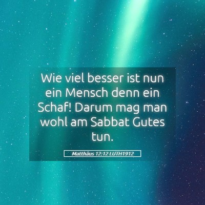 Picture 05 - Matthäus 12:12 LUTH1912 - Wie viel besser ist nun ein Mensch denn ein - Bible Verse Picture