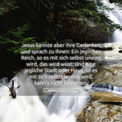 Picture 05 - Matthäus 12:25 LUTH1912 - Jesus kannte aber ihre Gedanken und sprach zu - Bible Verse Picture
