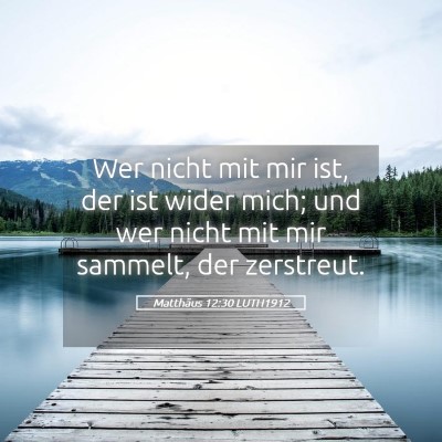 Picture 05 - Matthäus 12:30 LUTH1912 - Wer nicht mit mir ist, der ist wider mich; und - Bible Verse Picture