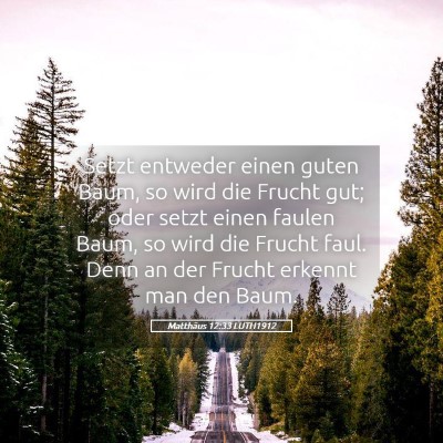 Picture 05 - Matthäus 12:33 LUTH1912 - Setzt entweder einen guten Baum, so wird die - Bible Verse Picture